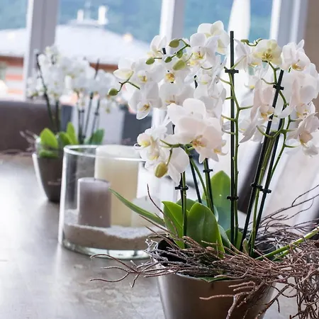 Lust Und Laune Am Woerthersee فندق