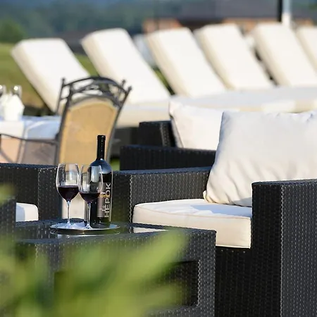 酒店 沃尔特斯格拉斯特劳恩酒店 Pörtschach am Wörthersee