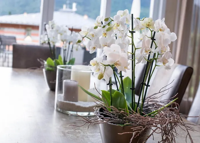 Lust Und Laune Am Worthersee Hotel